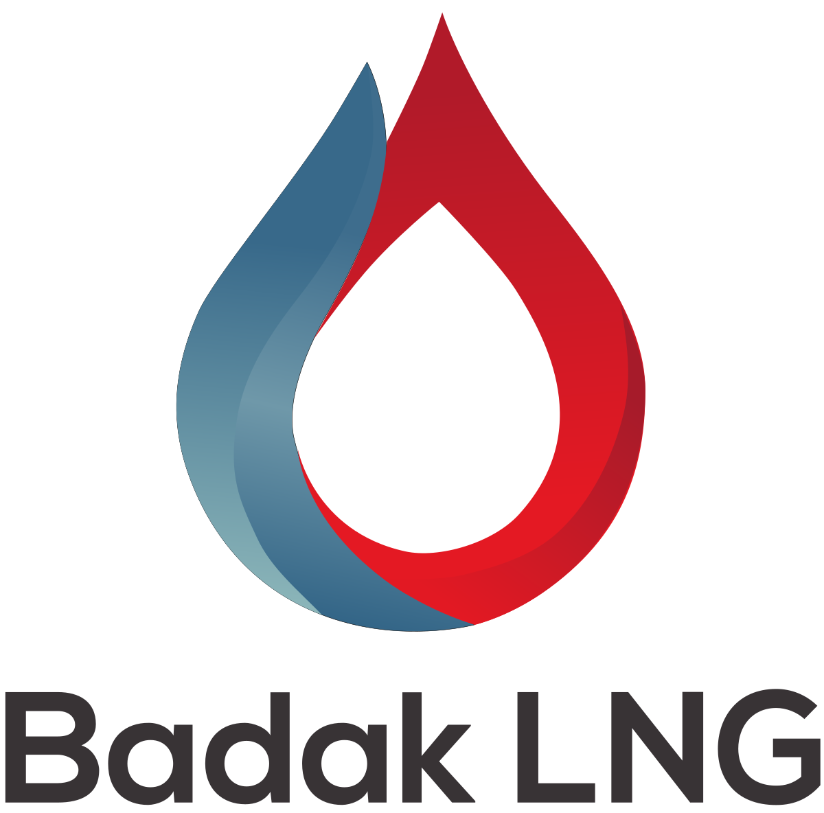 Badak_NGL_new_logo_(since_2018).svg